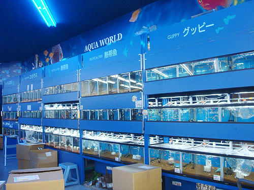 20080502_6.jpg