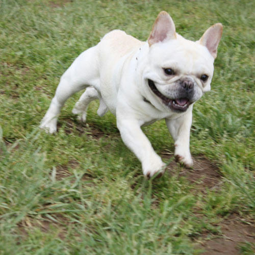20080508_3.jpg