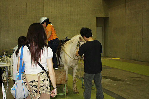 20080509_5.jpg