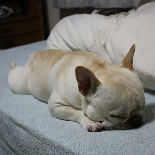 20080509_15.jpg