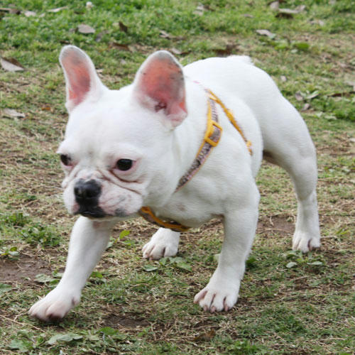 20080514_6.jpg