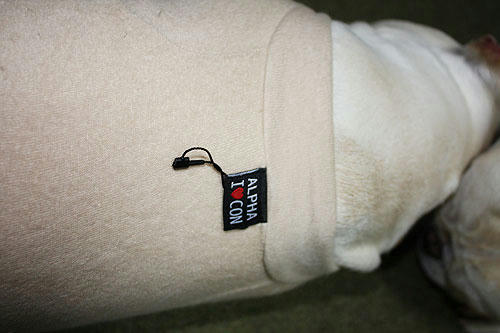 20080516_3.jpg