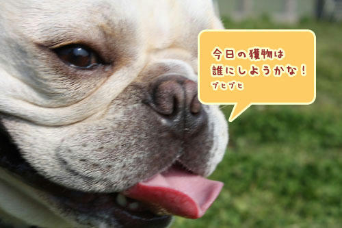 20080520_1.jpg