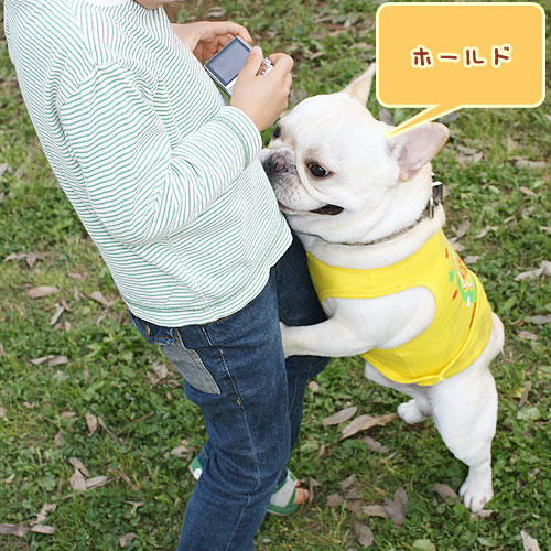 20080520_4.jpg