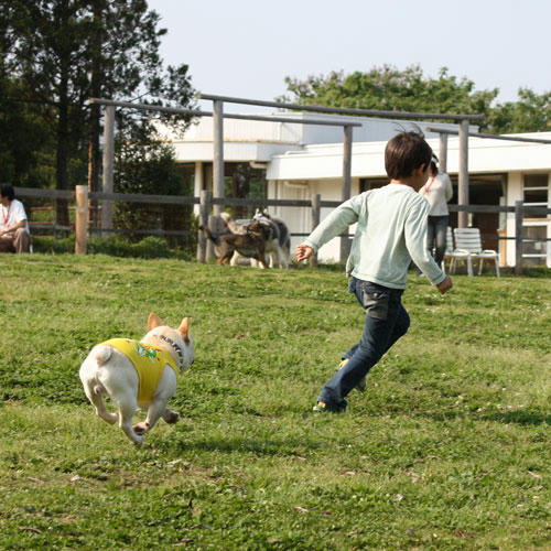 20080520_7.jpg
