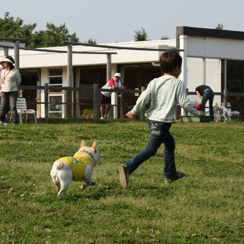 20080520_8.jpg