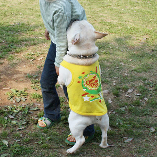 20080520_9.jpg