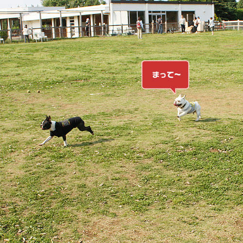 20080520_10.jpg