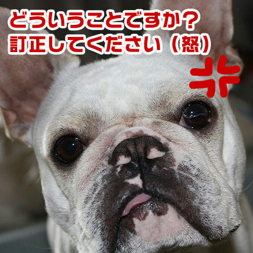 20080530_1.jpg