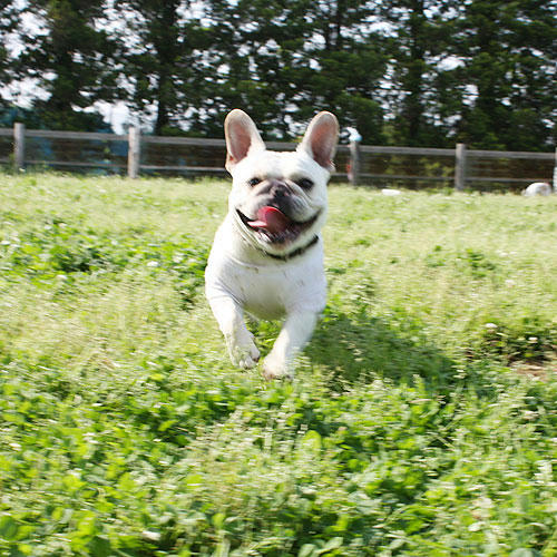 20080604_5.jpg