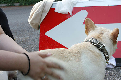20080605_2.jpg
