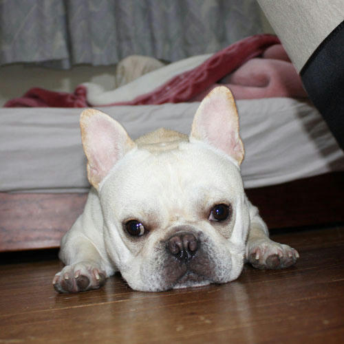 20080627_1.jpg
