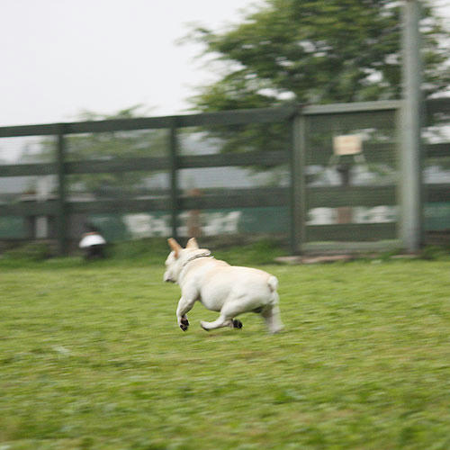 20080630_2.jpg