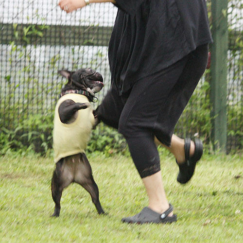 20080630_6.jpg
