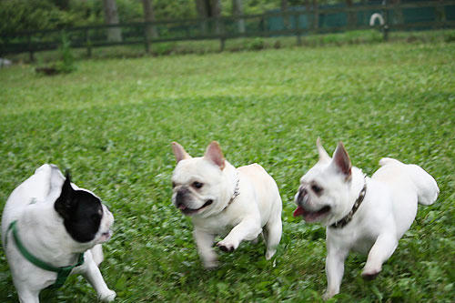 20080630_9.jpg