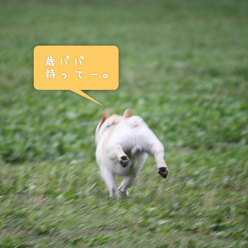 20080701_6.jpg