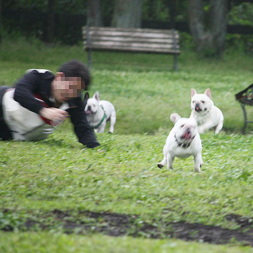 20080701_9.jpg