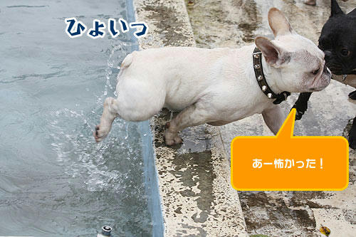 20080707_9.jpg