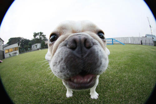 20081015_1.jpg