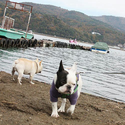 20081117_15.jpg
