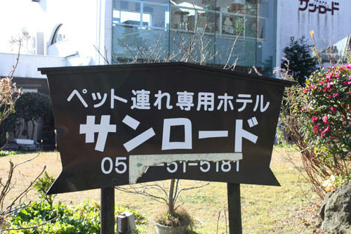 20090106_7.jpg