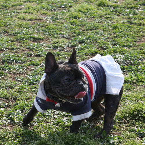 20090415_5.jpg