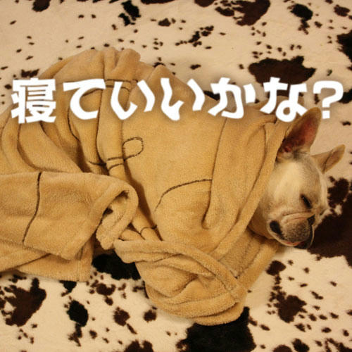 20090417_5.jpg