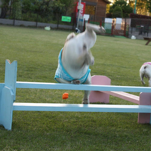 20090430_7.jpg