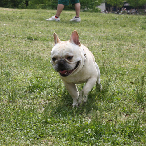 20090508_5.jpg