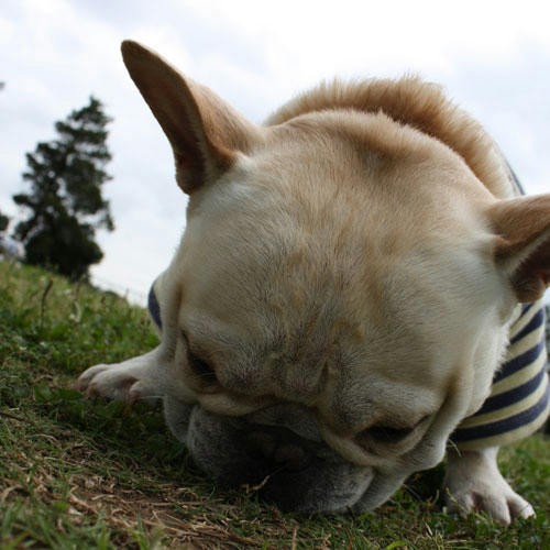 20090520_2.jpg