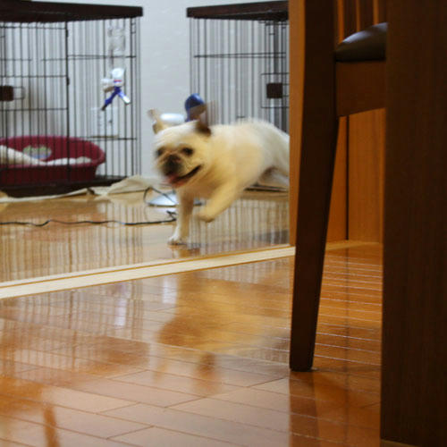 20090529_6.jpg