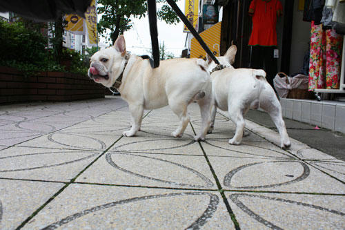 20090601_3.jpg