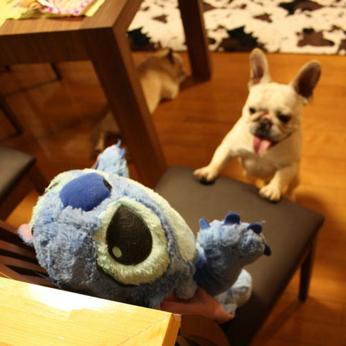 20090602_1.jpg