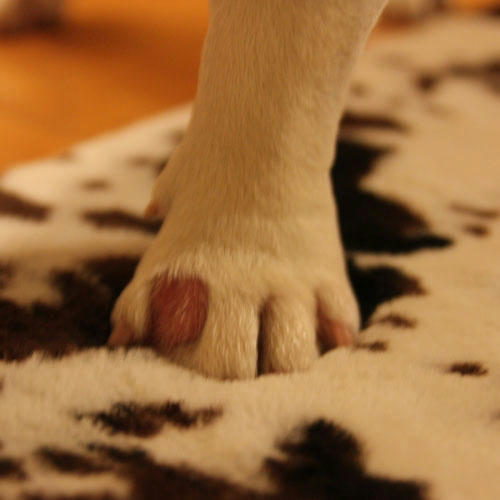 20090604_1.jpg