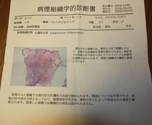 20090609_1.jpg