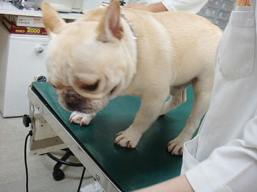20090616_3.jpg