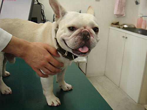 20090728_3.jpg