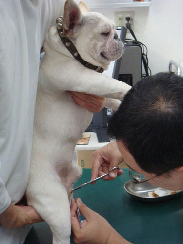 20090728_4.jpg
