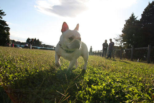 20091015_3.jpg