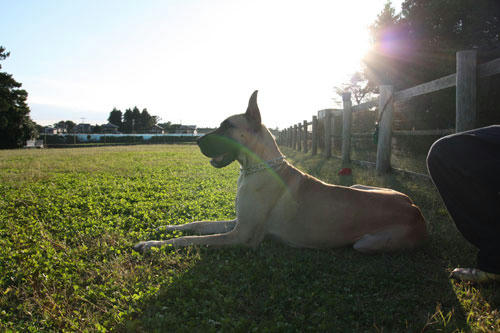 20091015_4.jpg
