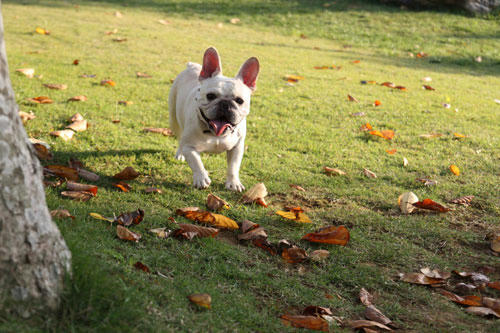 20091020_1.jpg