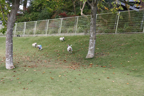 20091020_3.jpg