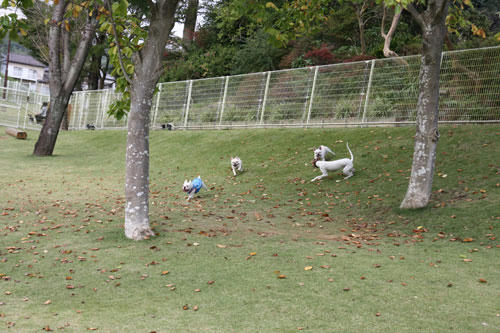 20091020_4.jpg
