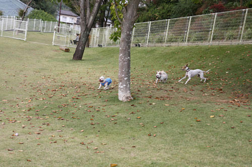 20091020_5.jpg