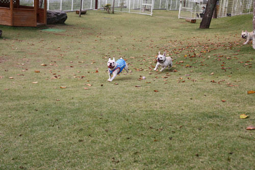 20091020_6.jpg