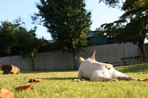 20091020_9.jpg