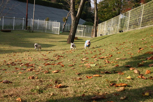 20091020_11.jpg