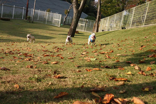 20091020_12.jpg