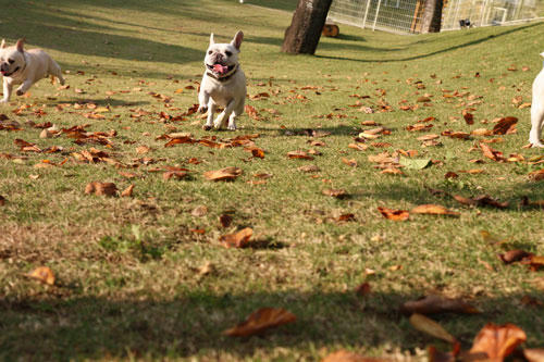 20091020_14.jpg
