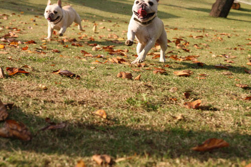20091020_15.jpg